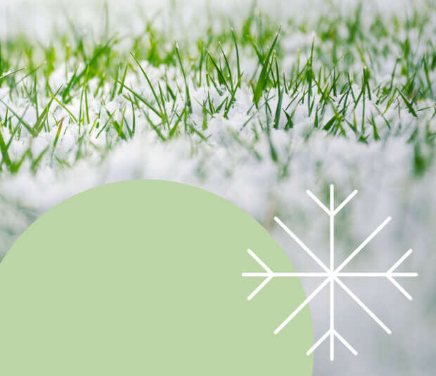 kalender winter rasenpflage themenwelt